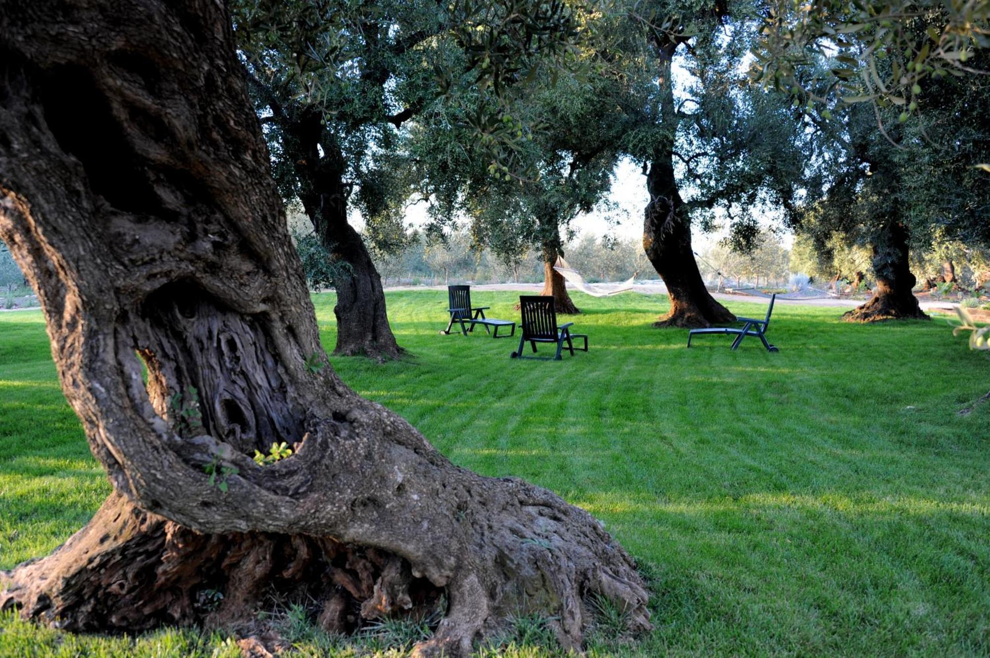 Masseria Lama Di Galizia Остуни Екстериор снимка