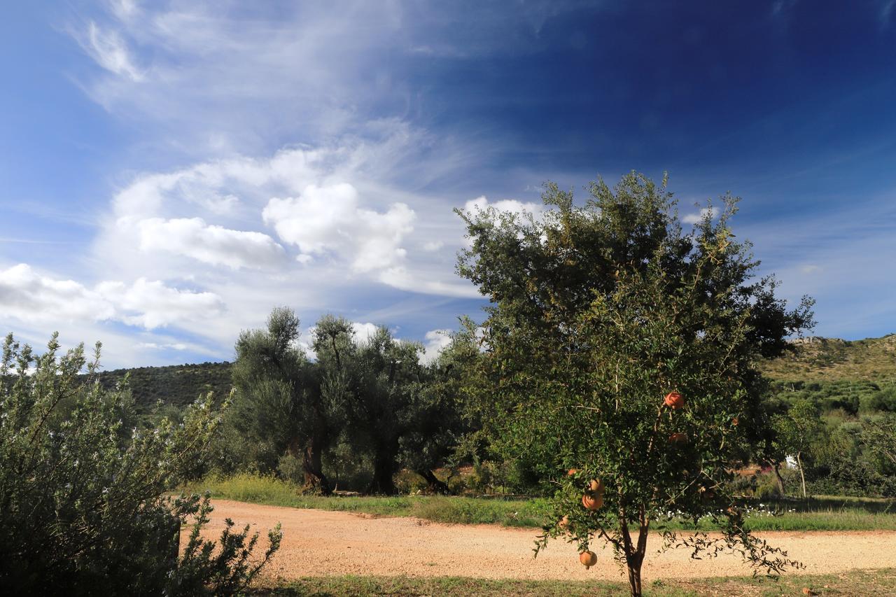 Masseria Lama Di Galizia Остуни Екстериор снимка