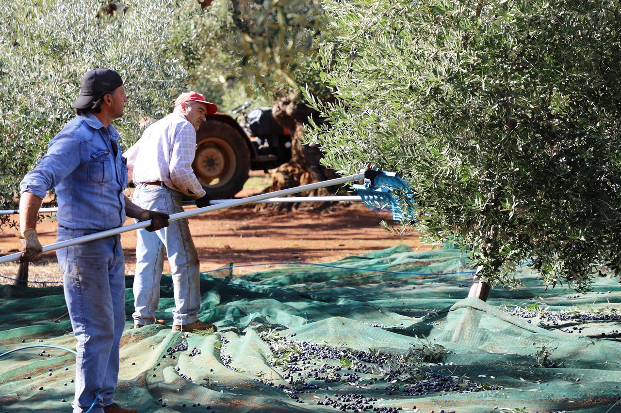 Masseria Lama Di Galizia Остуни Екстериор снимка